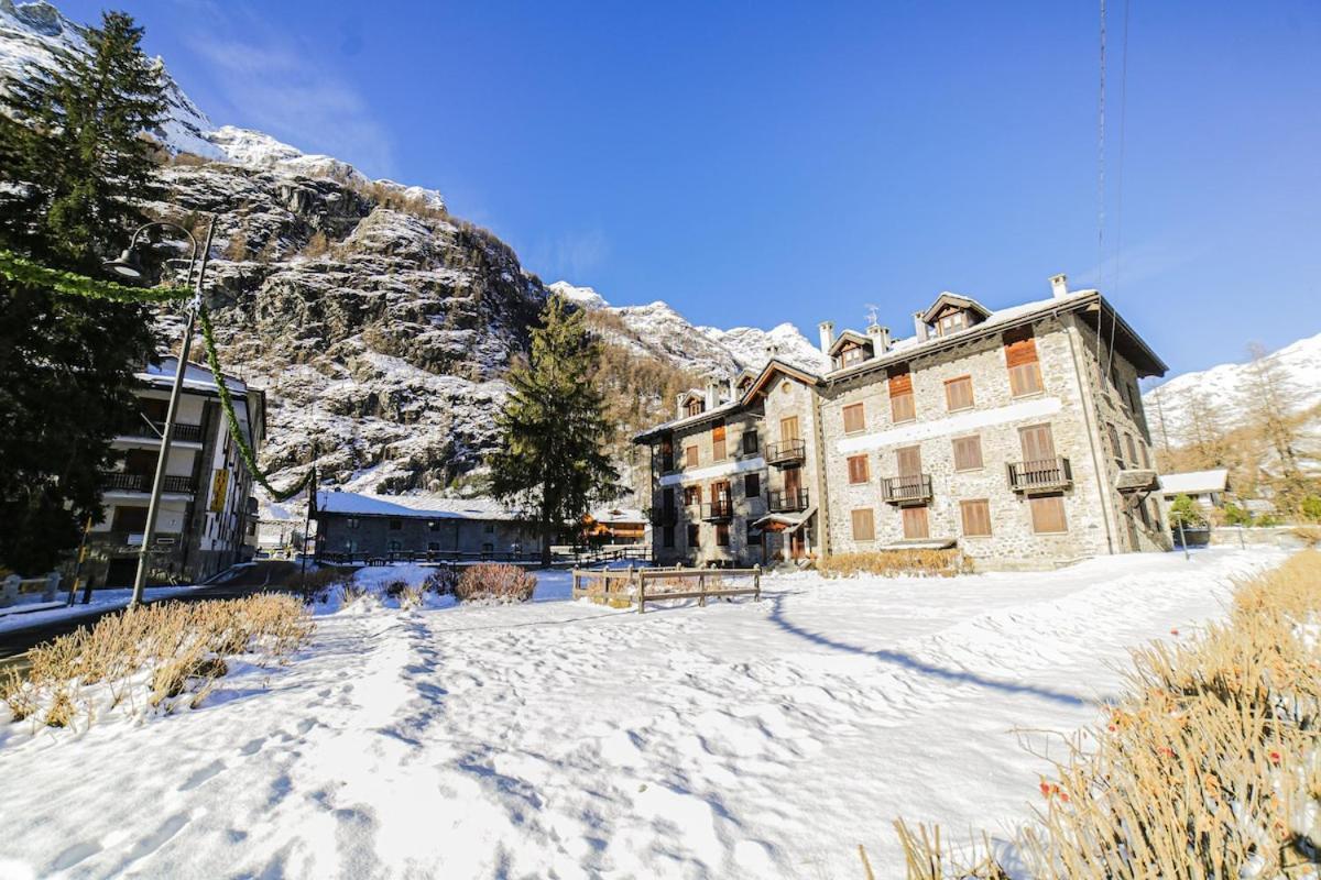 Casa Dei Larici 300M From Piste Lägenhet Gressoney-la-Trinité Exteriör bild